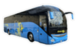 Noleggio Bus